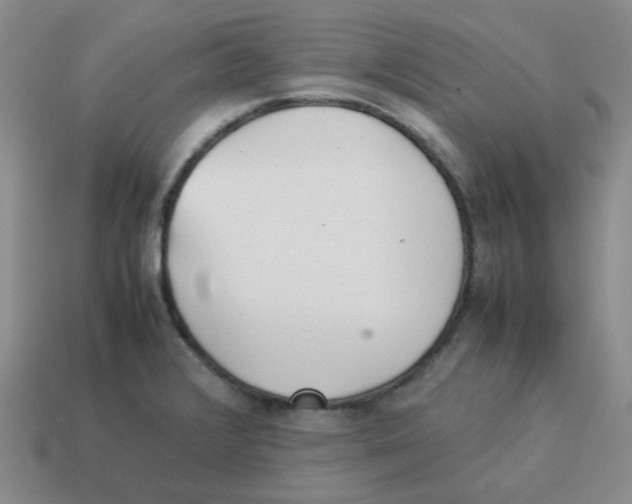 X0000114221376200911061458