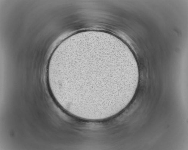 X0000114221379200911061458