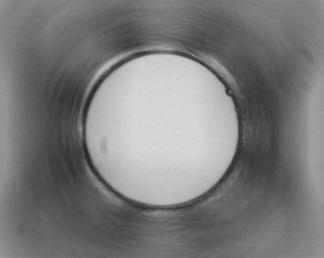 X0000114221380200911061458