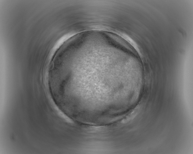 X0000114221381200911061458