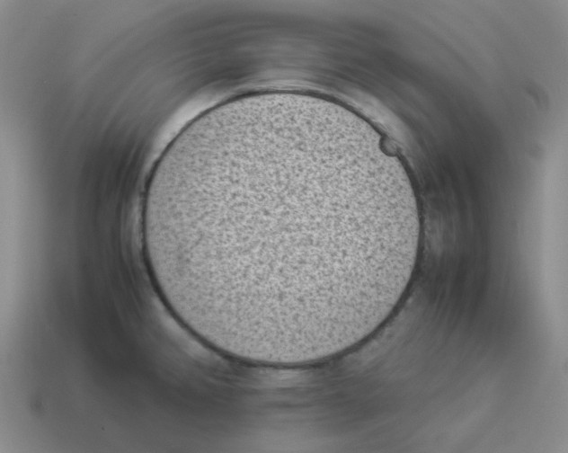 X0000114221382200911061458