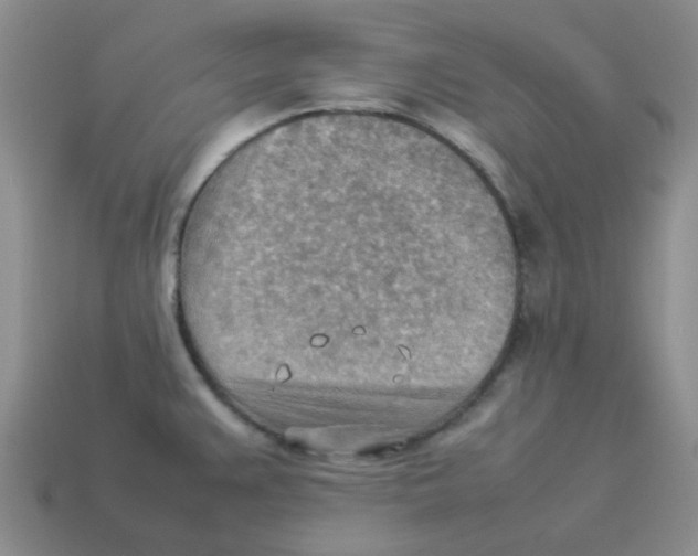 X0000114221383200911061458