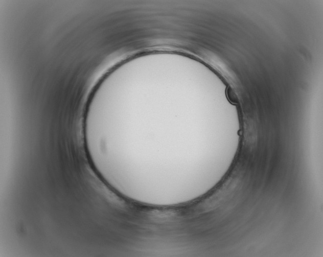 X0000114221384200911061457