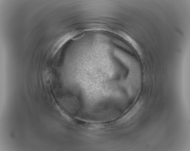 X0000114221385200911061457