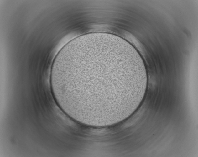 X0000114221386200911061457