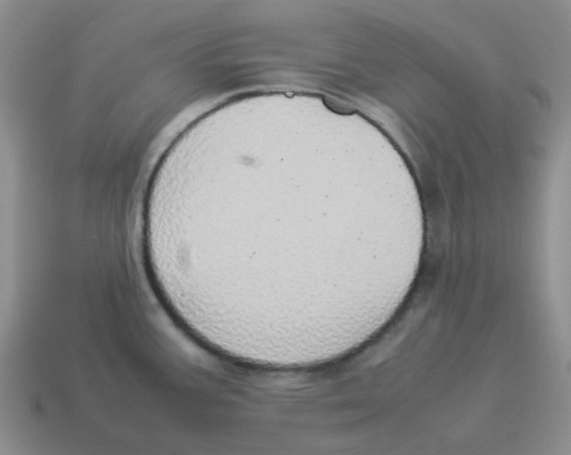 X0000114221387200911061457