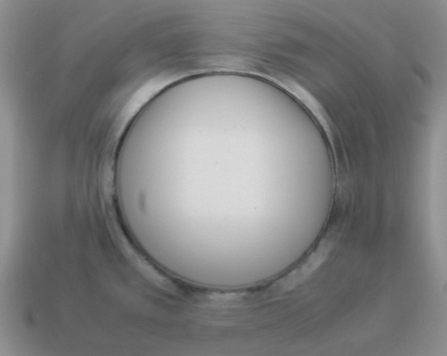 X0000114221389200911061457