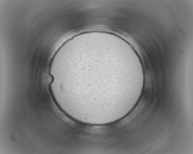 X0000114221390200911061457