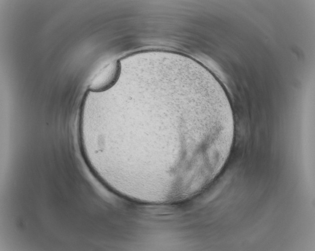 X0000114221391200911061457