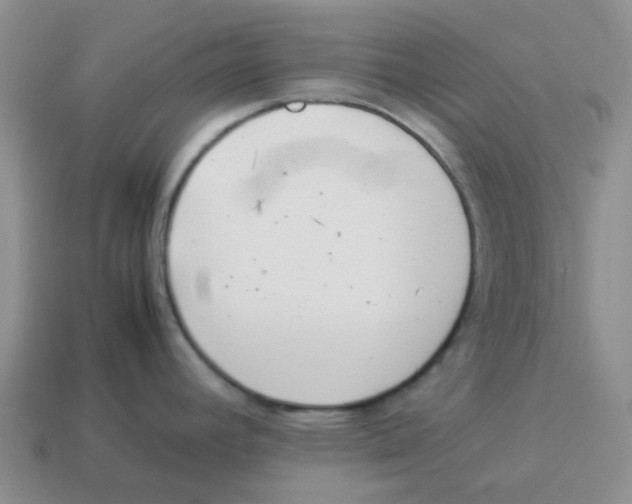 X0000114221392200911061457