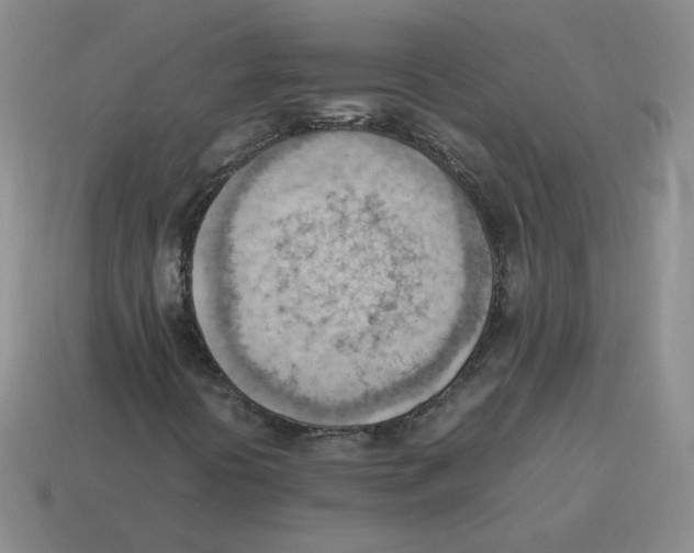 X0000114221394200911061457