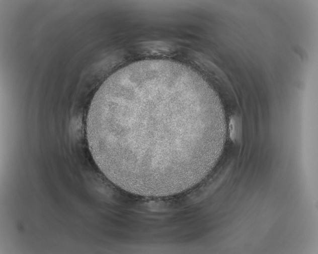 X0000114221395200911061457