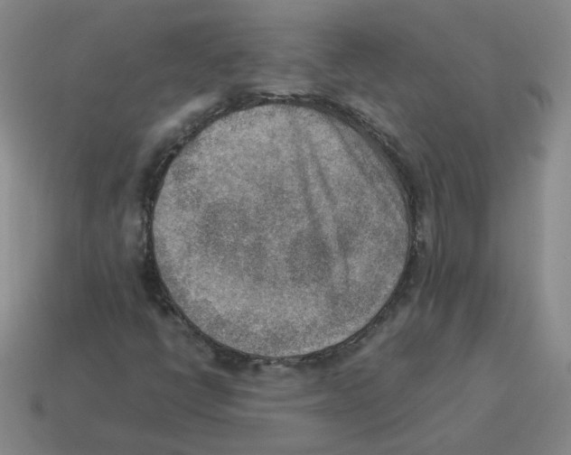 X0000114221398200911061457