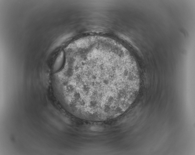 X0000114221399200911061457