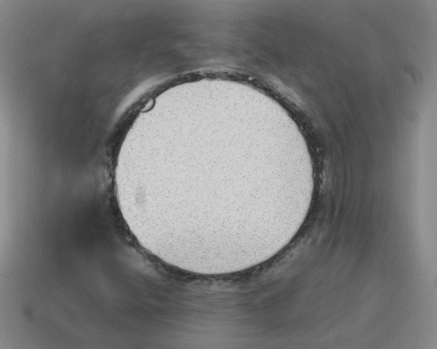 X0000114221400200911061457