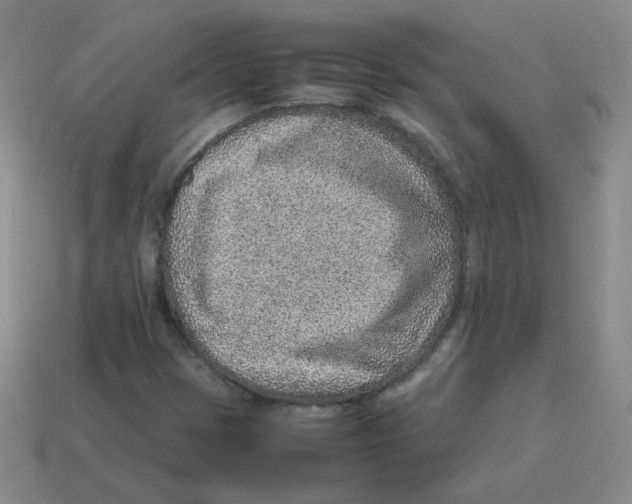 X0000114221401200911061457