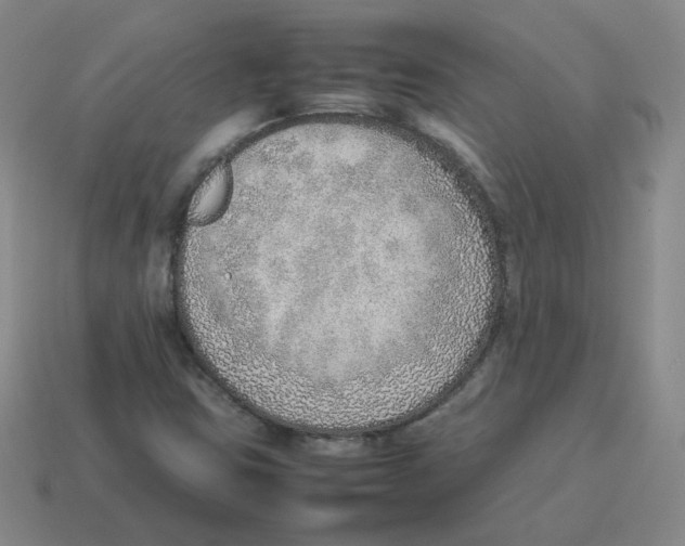 X0000114221403200911061457