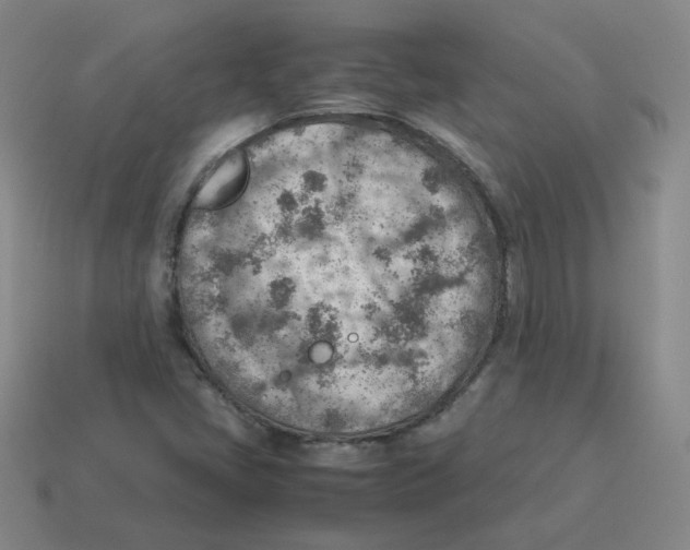 X0000114221405200911061457