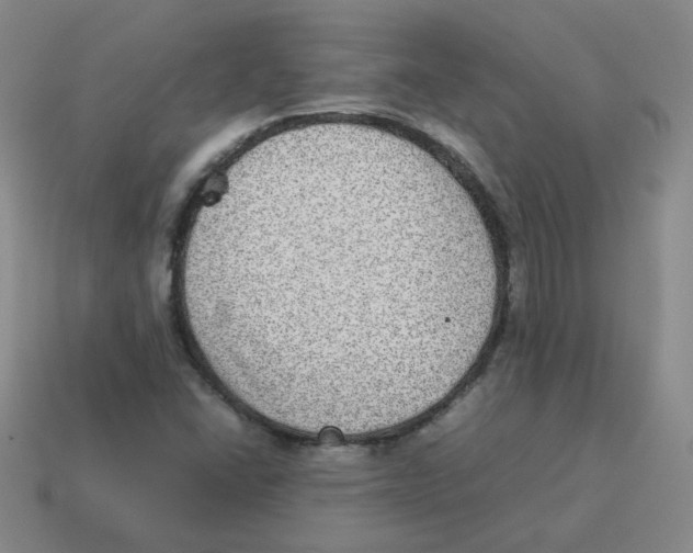 X0000114221406200911061457