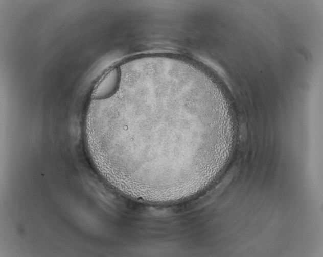 X0000114221407200911061457