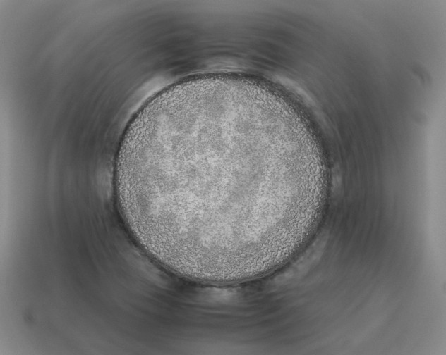 X0000114221409200911061457