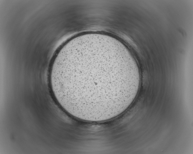 X0000114221412200911061457