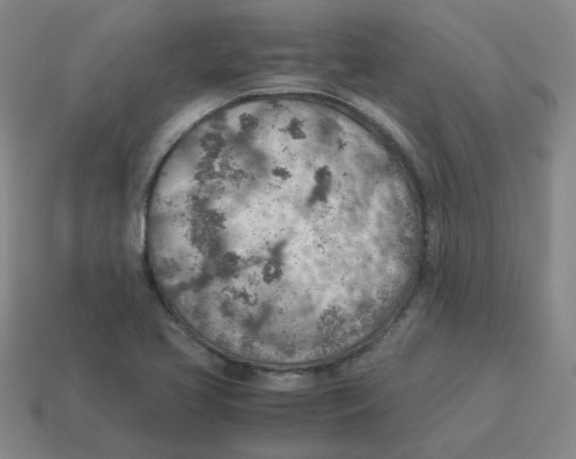 X0000114221413200911061457