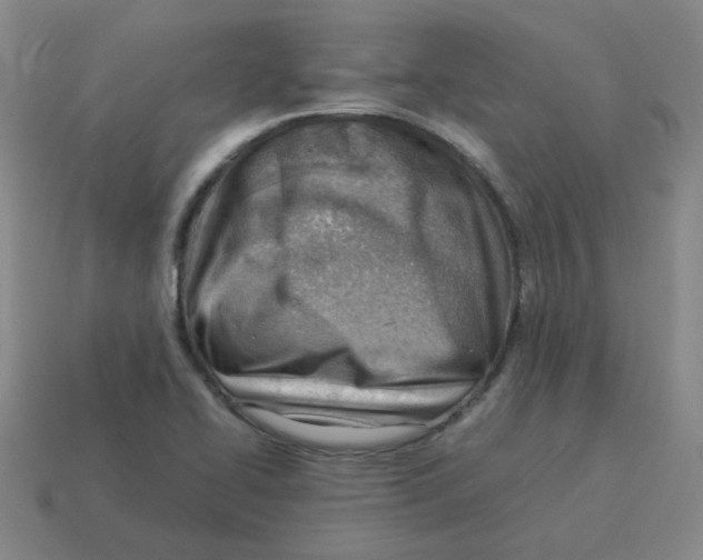 X0000114221414200911061457