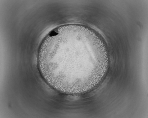 X0000114221415200911061457