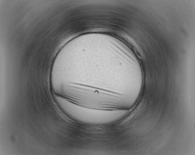 X0000114221417200911061457