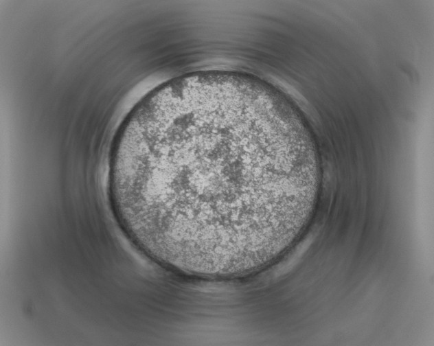 X0000114221418200911061457