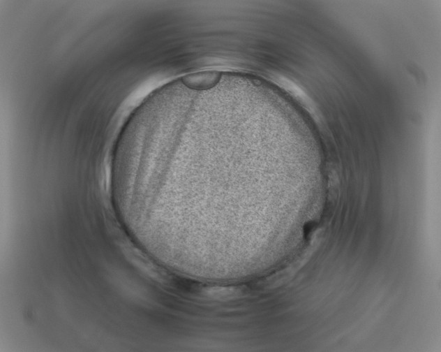 X0000114221419200911061457