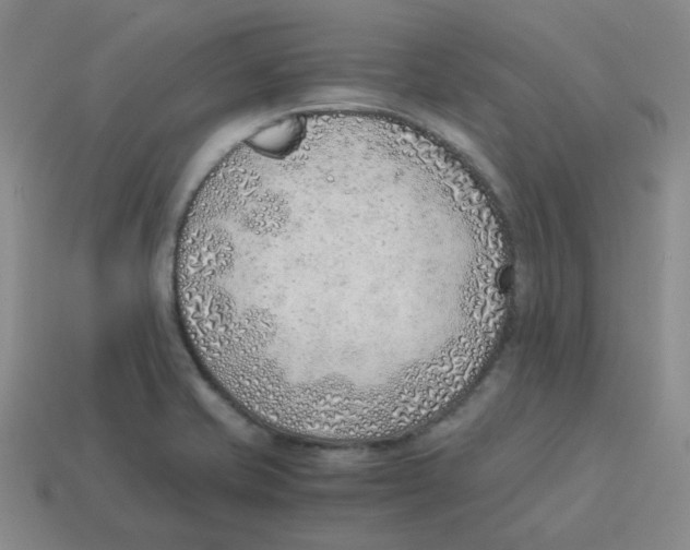 X0000114221421200911061457