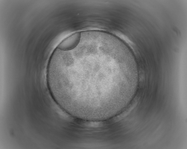 X0000114221423200911061457