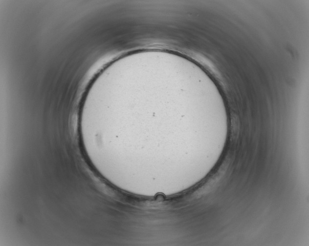 X0000114221424200911061457