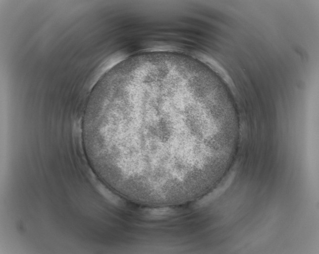 X0000114221425200911061457