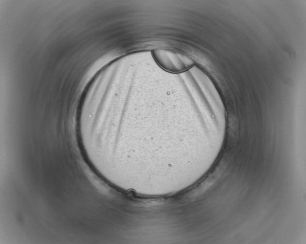 X0000114221426200911061457