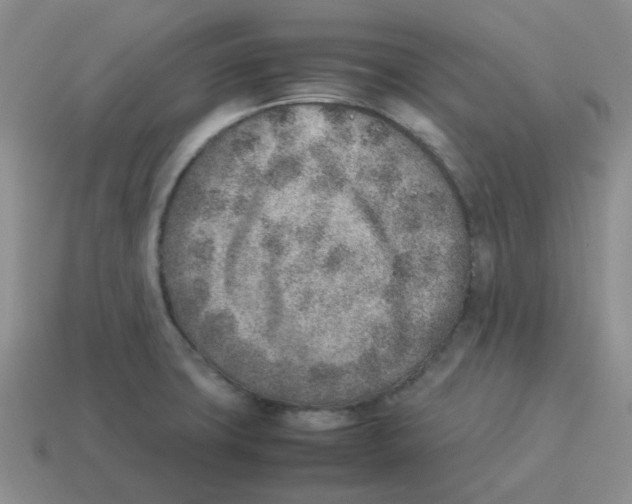 X0000114221427200911061457