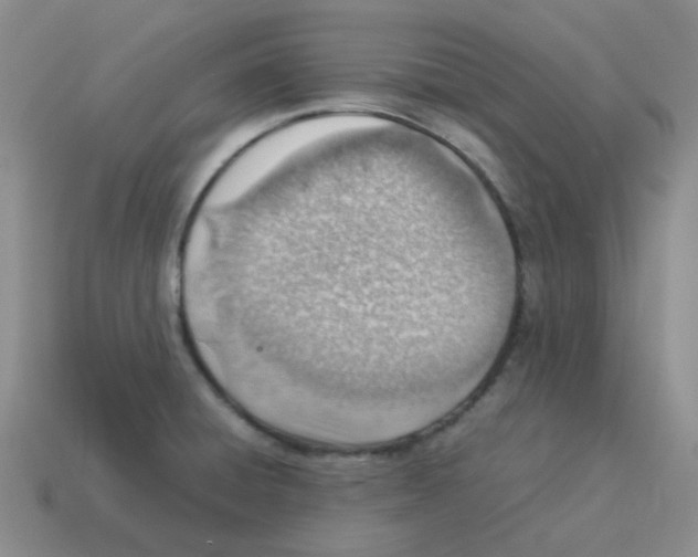 X0000114221428200911061457