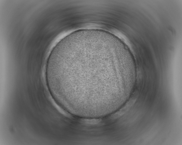 X0000114221429200911061457