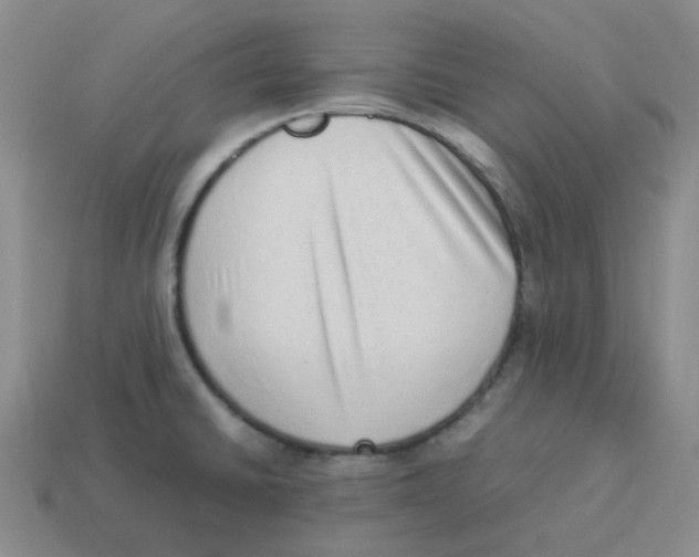 X0000114221430200911061457