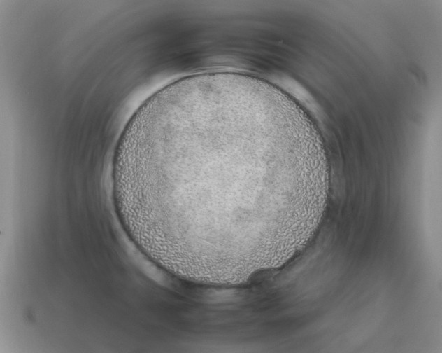 X0000114221431200911061457