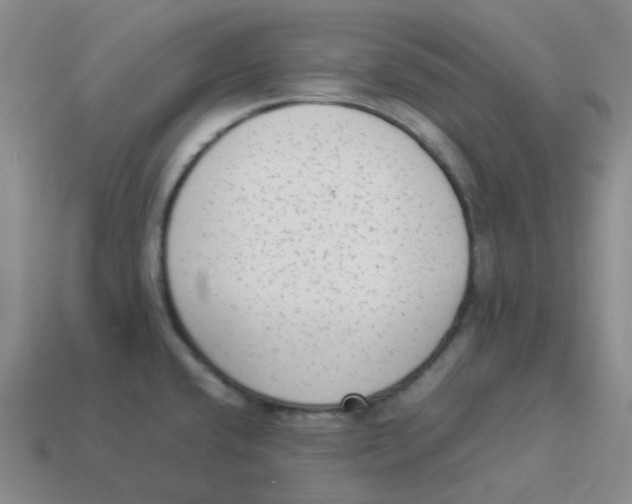 X0000114221432200911061457