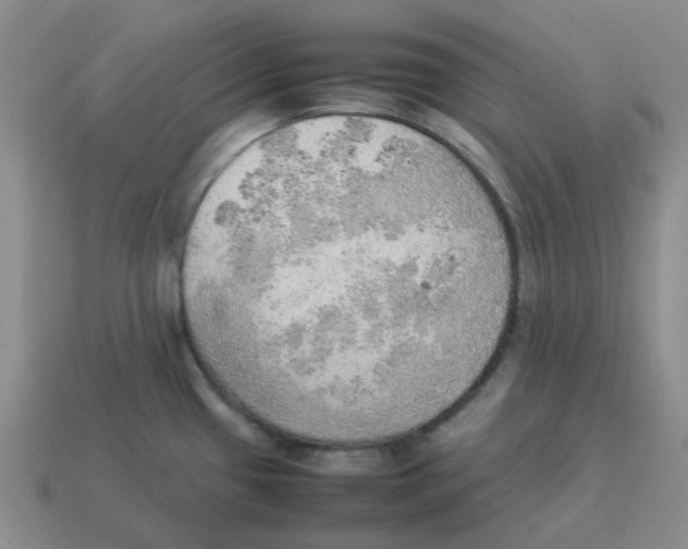 X0000114221433200911061457