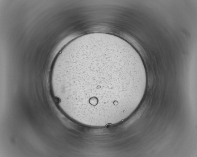 X0000114221434200911061457