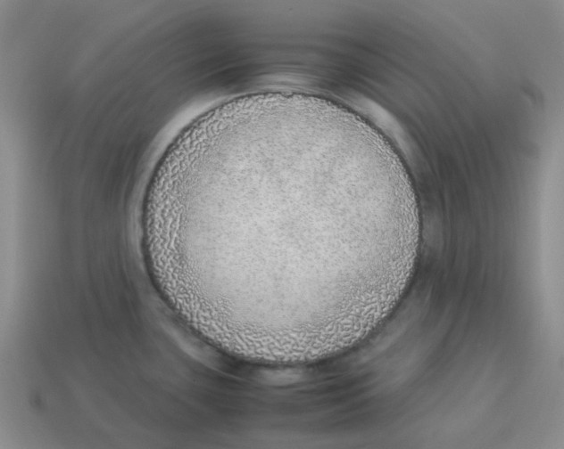 X0000114221435200911061457