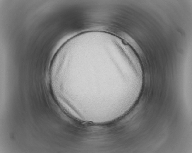 X0000114221436200911061457