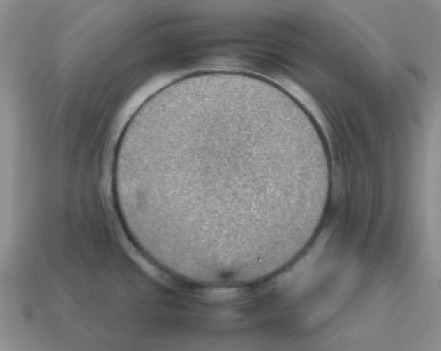 X0000114221437200911061457