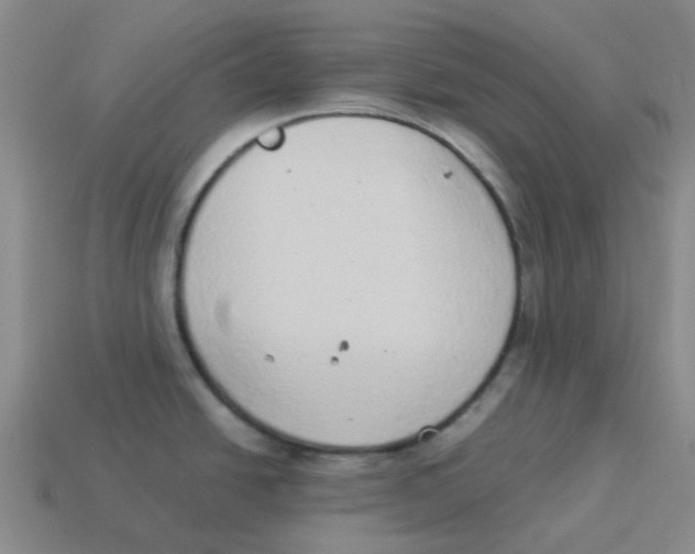 X0000114221438200911061457