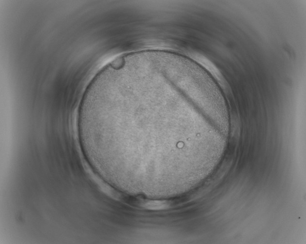 X0000114221439200911061457